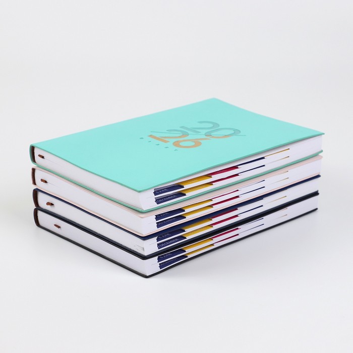 2026 Daily Diary high quality