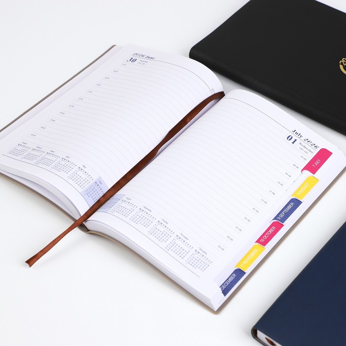 Diary 2026 best